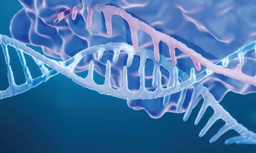 Scalable Precision Genomic Medicine