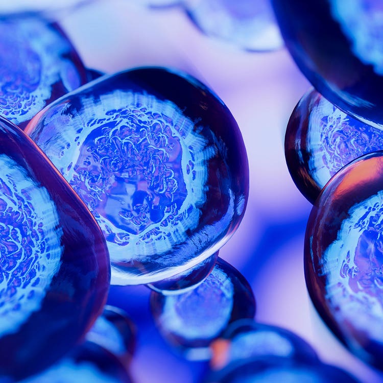 Cell Therapy