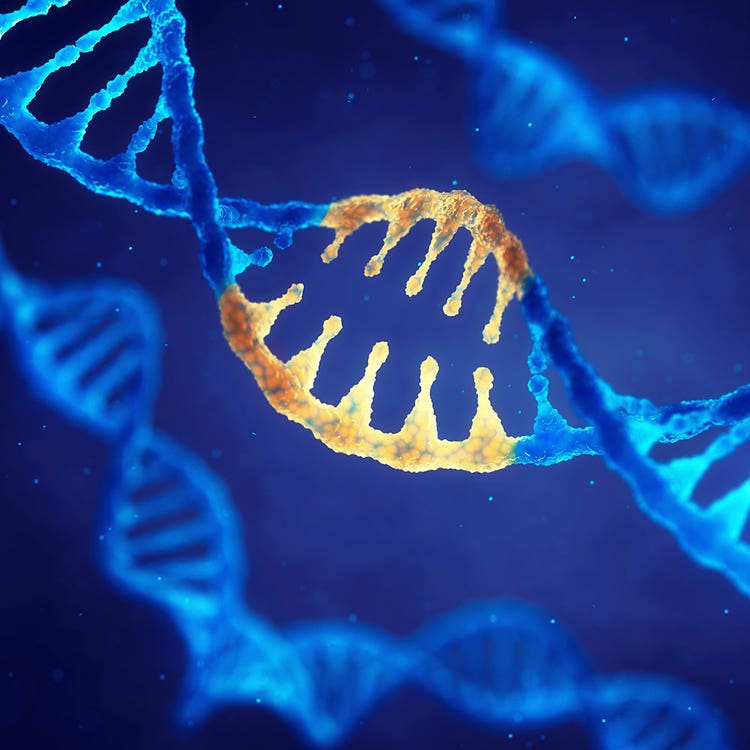 Gene Therapy