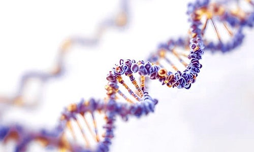 Translational Framework for Non-Viral Gene Editing