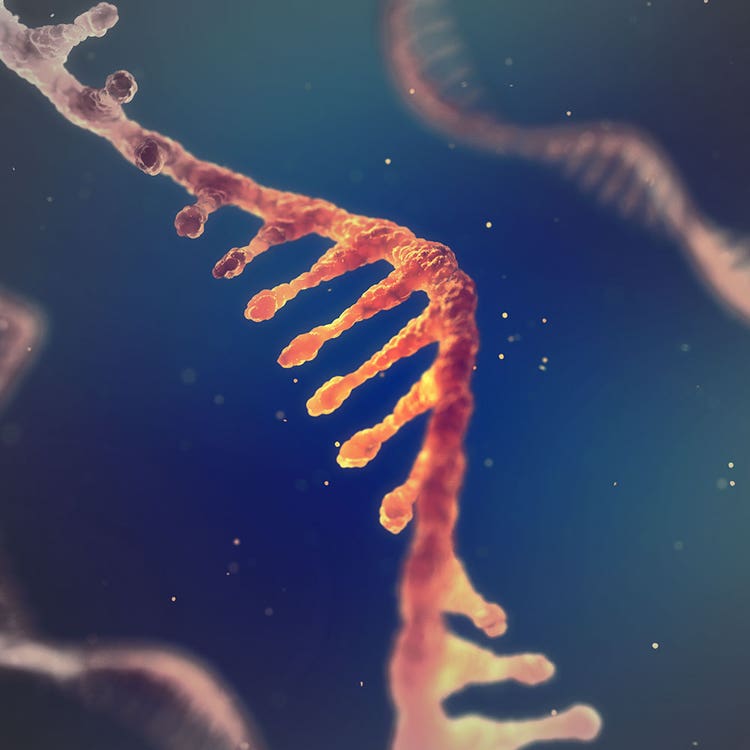 mrna development and manufacturing