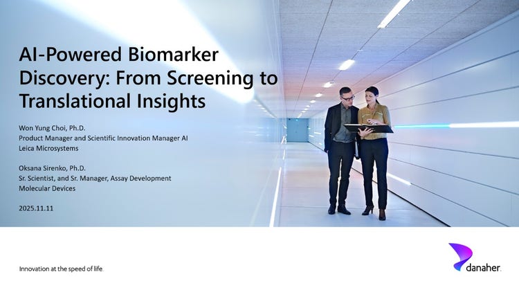 Digital Ai Solutions