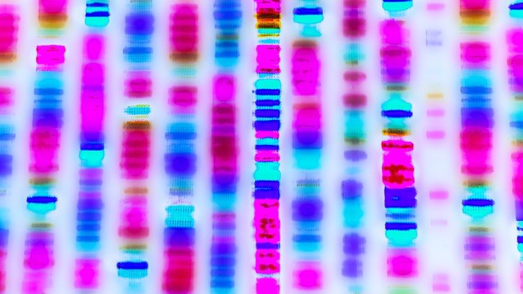 Webinar biomarker omics