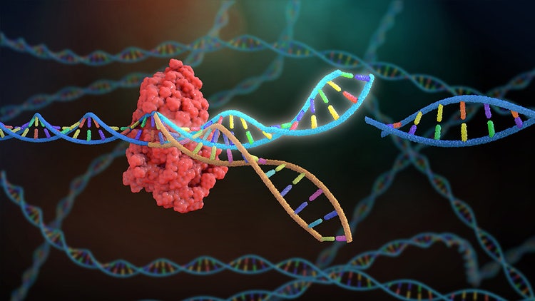 idt-alt-r-crispr-cas9-system-v2