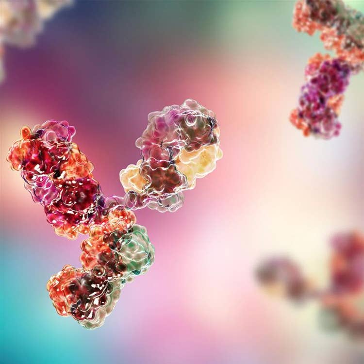 Biozen™ LC Columns
