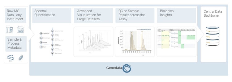 Ht Ms Analytics