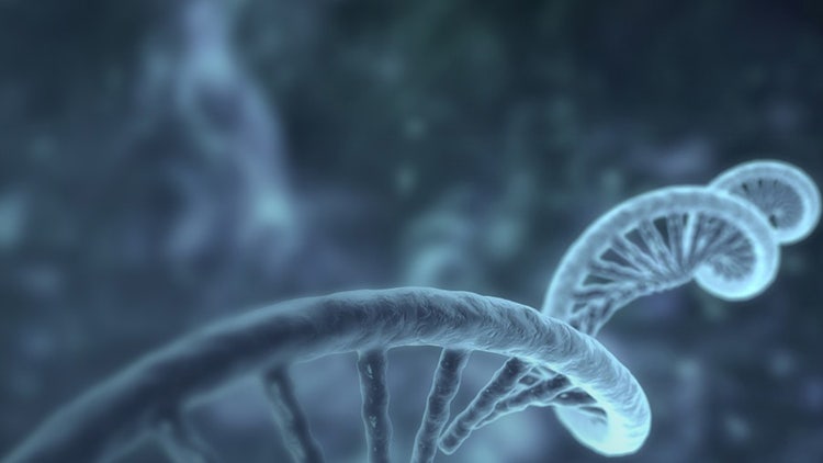 WSAW-Gene-editing